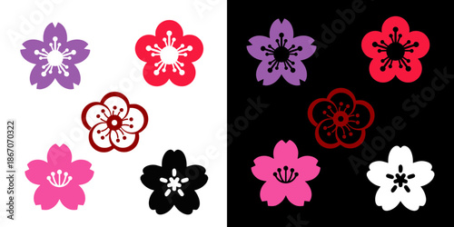 Beautiful cherry blossom flowers in various colors on contrasting white and black backgrounds, perfect for design and artistic projects