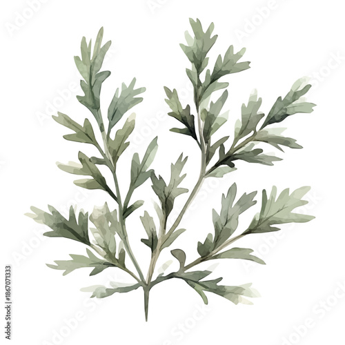 Watercolor_style_painting_of_a_wormwood_plant_on_a_white, A vectorized, Hand-painted style, vector set available in EPS An Elegant watercolor painting design collection