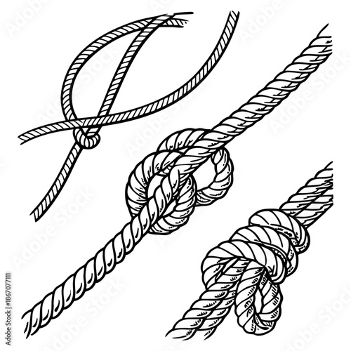 Decorative Rope Knots Collection in Vintage Engraving Style Black and White Vector