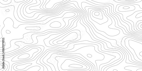 Topography background. Vector banner. Topography map background. Vector geographic contour map. Background of the topographic map. Topographic map lines, contour background.