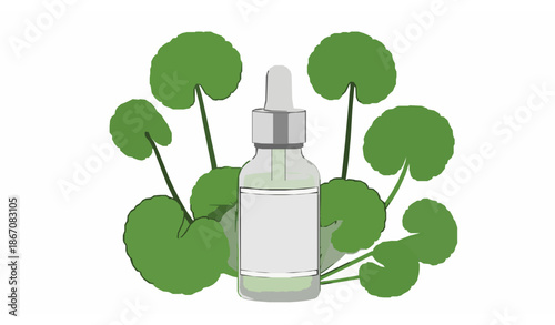 Centella asiatica face serum with pipette and gotu kola leaves vector illustration