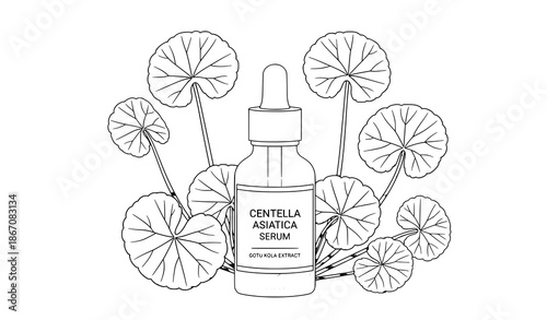 Centella asiatica face serum with pipette and gotu kola leaves vector illustration