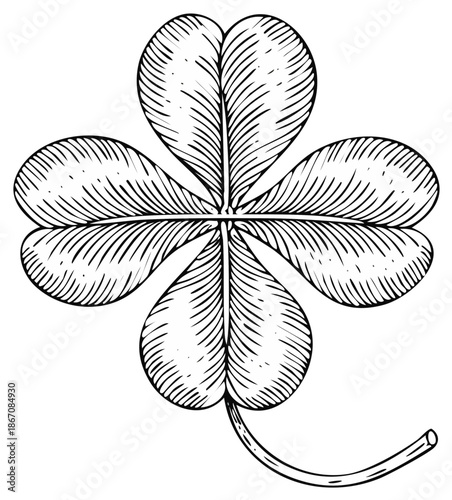 Intricate Four Leaf Clover Engraving Style Illustration Symbol of Luck