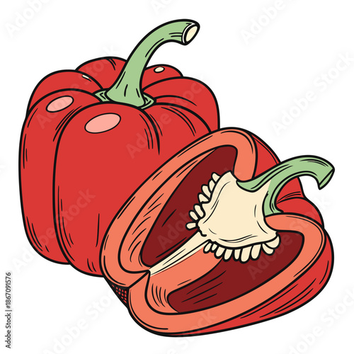 Fresh Red Bell Pepper Vector Illustration