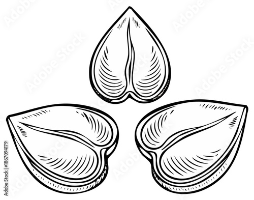 Three Stylized Seeds or Nuts Graphic Representation in Black and White
