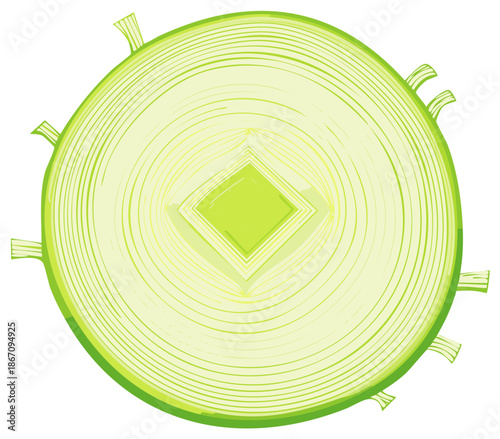 Abstract geometric cross-section of a leek vegetable with concentric rings and diamond shape
