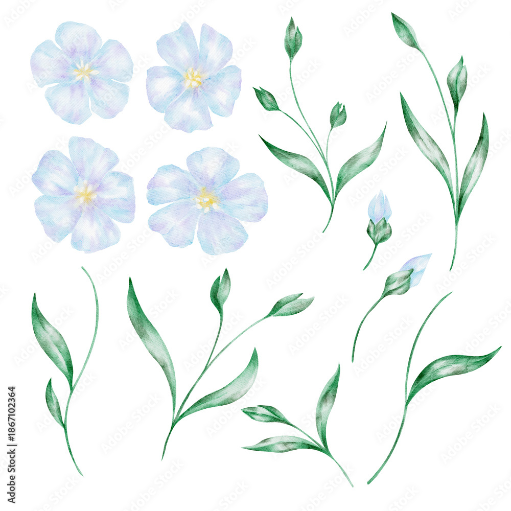 Fototapeta premium Set of flax flowers and leaves, isolated, hand painted watercolor clipart. Ideal for patterns, botanical compositions, scrapbook projects, and floral design resource