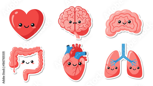 Illustration of human organs including heart, brain, and other vital parts with smiling faces on a white background from a direct viewpoint