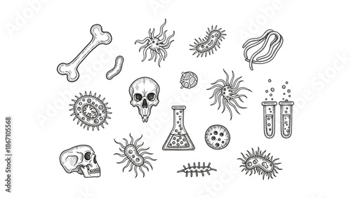A collection of scientific illustrations featuring microorganisms, human skull, and laboratory equipment