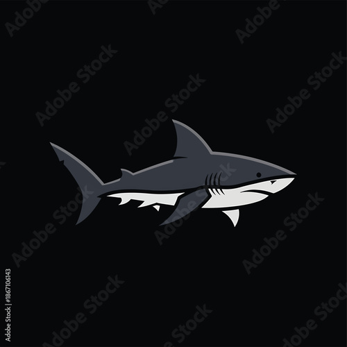 Cartoon Shark Illustration with Sharp Teeth and Streamlined Body.