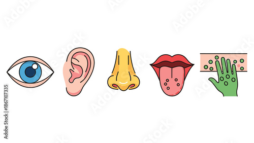 Set of human sensory organs represented by colorful icons eye, ear, nose, tongue, and hand