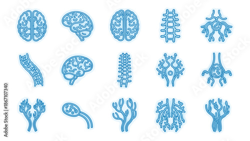 Set of stylized icons representing brain anatomy, spinal cord, and nervous system structures