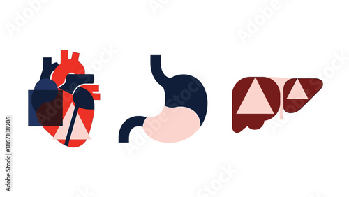 Abstract geometric set of vital human organs heart, stomach, and liver, for health and medical science