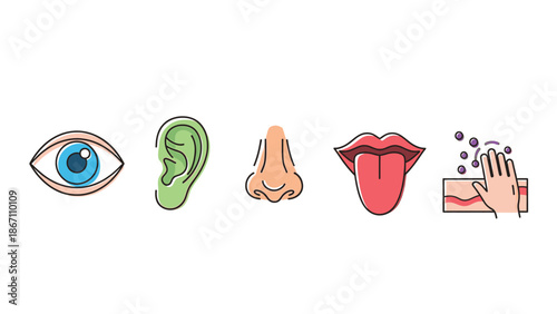Colorful Line Art Icons Symbolizing the Five Fundamental Human Senses and Sensory Perception Abilities