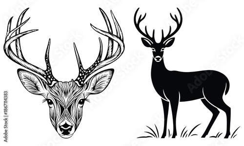 silhouette of a deer