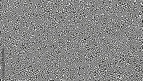 Black and white abstract image with intricate swirling patterns