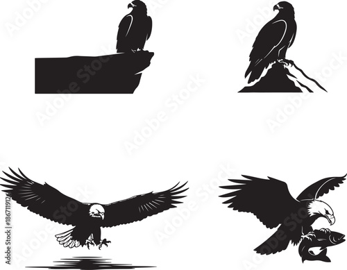 Eagle Silhouettes Portraying Flight, Strength, and Successful Hunting