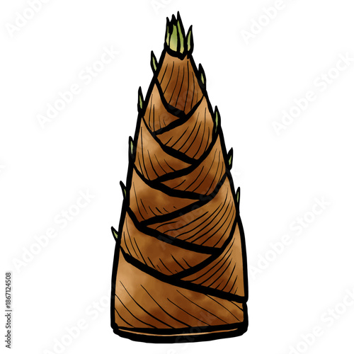 タケノコのイラスト （筆タッチ・山菜） シンプル /  Hand-drawn Bamboo Shoot Illustration