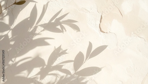 Soft shadows of leaves cast on a textured wall with natural sunlight from an overhead viewpoint