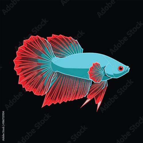 Elegant Betta Fish Illustration with Vibrant Red and Teal Colors.