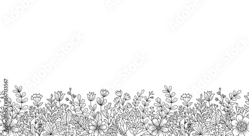 Beautiful border illustration of various hand drawn wildflowers and plants in a meadow, perfect for spring or summer floral designs.