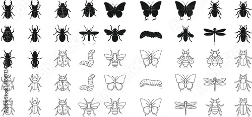 Insect silhouettes and outlines, beetles, butterflies, dragonflies, ants, bees, caterpillars, entomology chart, vector icons, educational insect reference grid