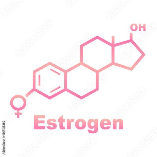 Estrogen Hormone Molecular Structure Diagram. Vector illustration.