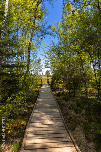 Hiking trail through the Schwenninger Moos