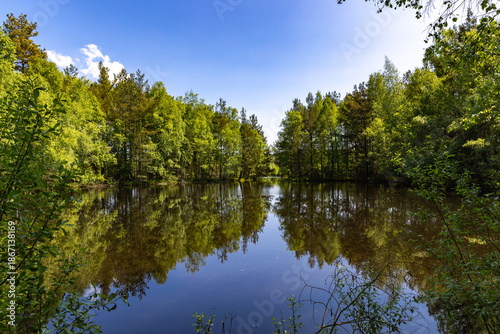 Mirror image in the Schwenninger Moos