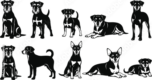 Collection of black and white dog vector silhouettes featuring terriers and pinschers in various poses isolated on white background for design.