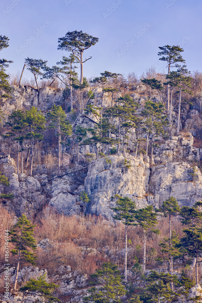 Φωτογραφία Mountain landscape in the Carpathian Mountains, Romania, Mehedinți, on a snowless winter day