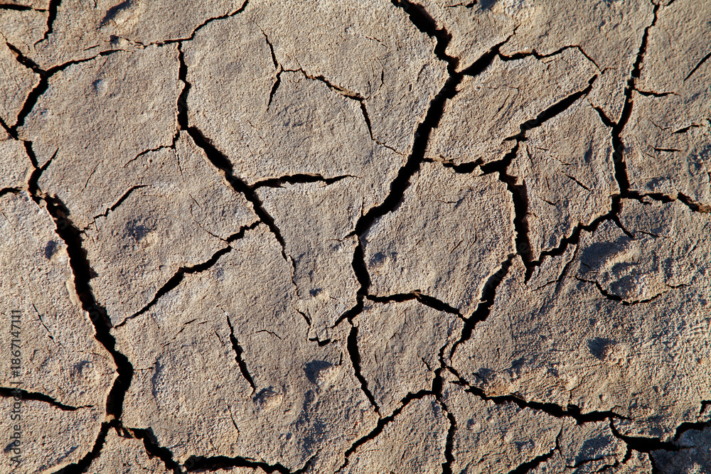 Fototapeta premium Climate warming dry chapped land