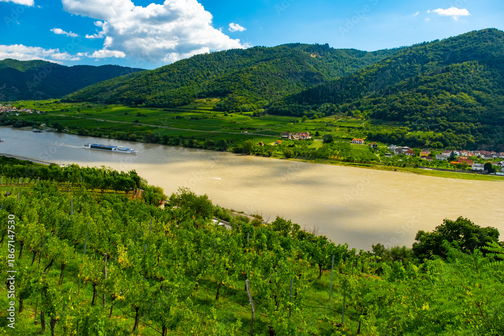 Obraz premium Vineyards and Donau river in Wachau valley Austria with autumn colored leaves, small traditional village and boats on sunny day. Traditional wine and tourism region,