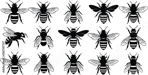 Honey Bee Silhouette Vector Set Featuring Garden Bumblebee Icons for Honey Production Nature Environment Conservation Pollinator Insects and Beekeeping Graphic Elements