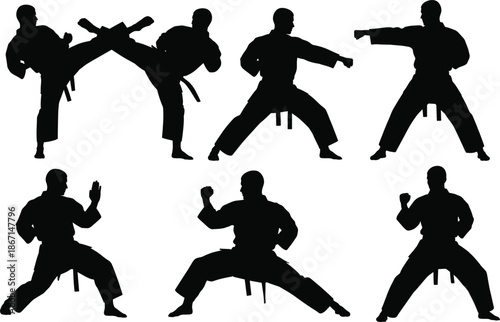 Martial Artist Performing High Kick Silhouette – Dynamic Combat Move