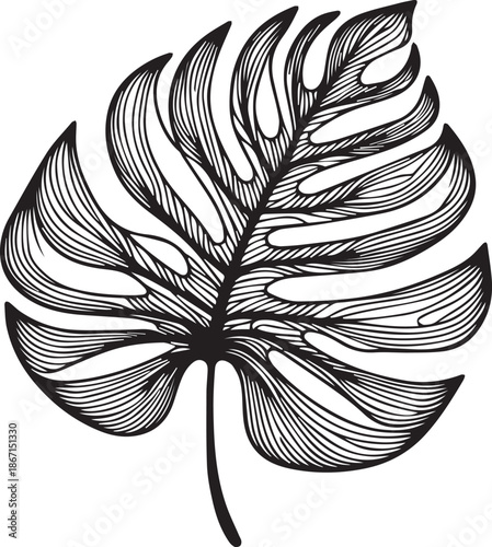 Elegant Hand Drawn Monstera Leaf Outline Art
