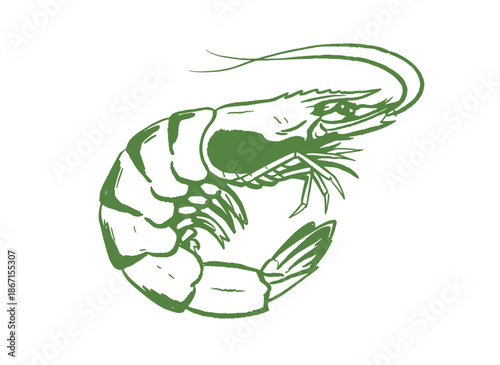 Vintage Shrimp Vector Sketch.Seafood Retro Illustration.Hand Drawn Prawn Logo.Green Outline Shellfish.Crustacean Market Design