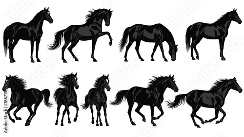 Black horse silhouettes in multiple dynamic poses isolated on white background equine animal motion strength elegance power illustration collection vector