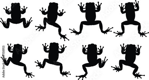 Frog silhouettes collection, jumping climbing poses, black amphibian animals isolated on white background for nature wildlife illustration vector design