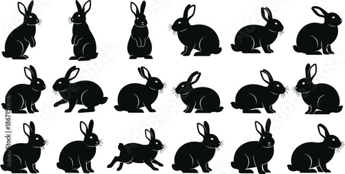 Rabbit silhouettes collection, cute bunny poses set, black animal icons isolated on white background for easter design illustration vector use