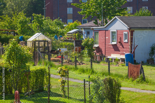 Foto Gartenlaube mit Schrebergarten im Frühling, Bremerhaven, Bremen, Deutschland