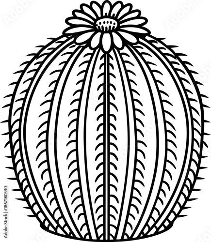 Round cactus with flower outline drawing succulent desert plant illustration