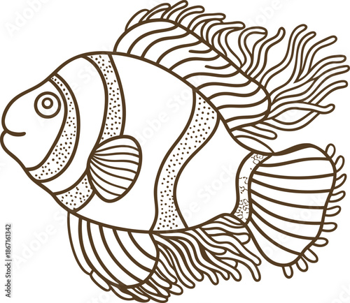 Clownfish illustration with detailed fins and stripes, ocean sea creature line art drawing
