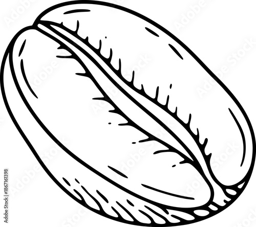 Coffee bean isolated single dark roasted coffee seed closeup sketch, black and white illustration