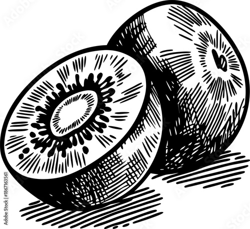 hand drawn kiwi fruit illustration, whole and sliced, detailed sketch with seeds and texture