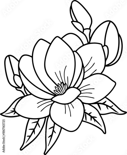 Magnolia blossom outline with unopened buds and leaves, botanical flower drawing for coloring art