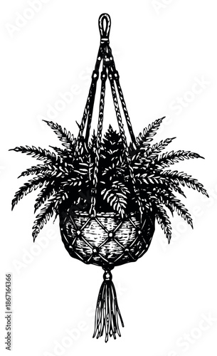 Line art illustration of a fern in a macrame hanger depicting indoor plant decor for home interior