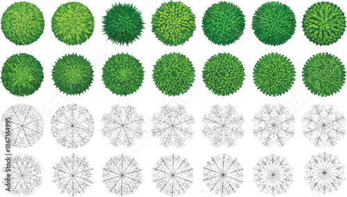 Top-down tree canopy set with colored and line-drawn styles, ideal for landscape plans, architecture, and urban design.