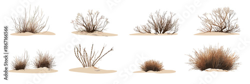 Set of western desert dry plants and bushes in sandy soil isolated on white background, realistic flat minimalist vector illustration of arid dead vegetation and tumble grass wilderness