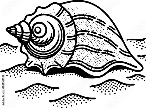 detailed black and white illustration of a seashell resting on sandy beach shore